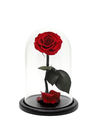Mini Enchanted Rose